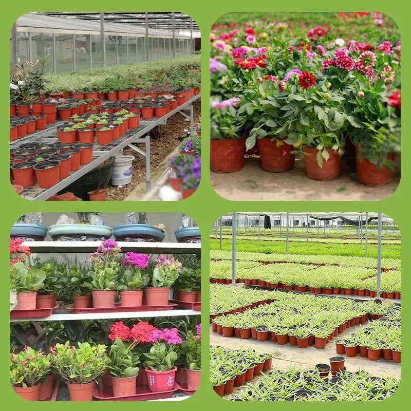 20–100 Pack Seedling Nursery Pots – Reusable 10cm Plant Growing Cups