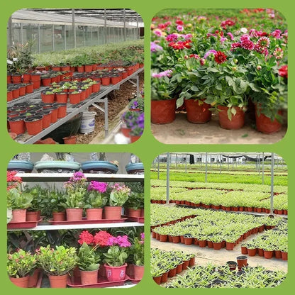 20–100 Pack Seedling Nursery Pots – Reusable 10cm Plant Growing Cups