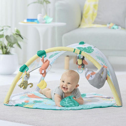 Skip Hop - Baby Activity Gyms