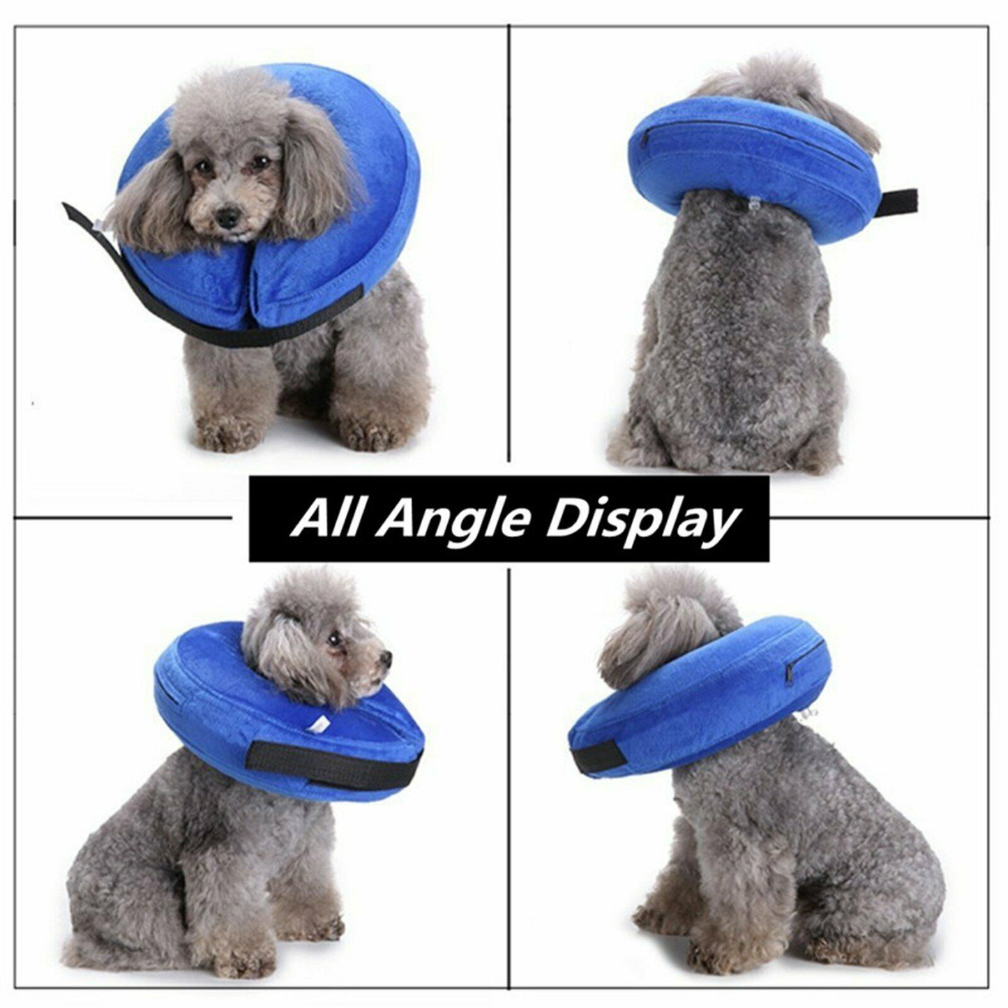 Pet Dog Inflatable Collar M