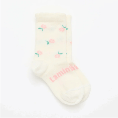Lamington- Crew Merino Socks