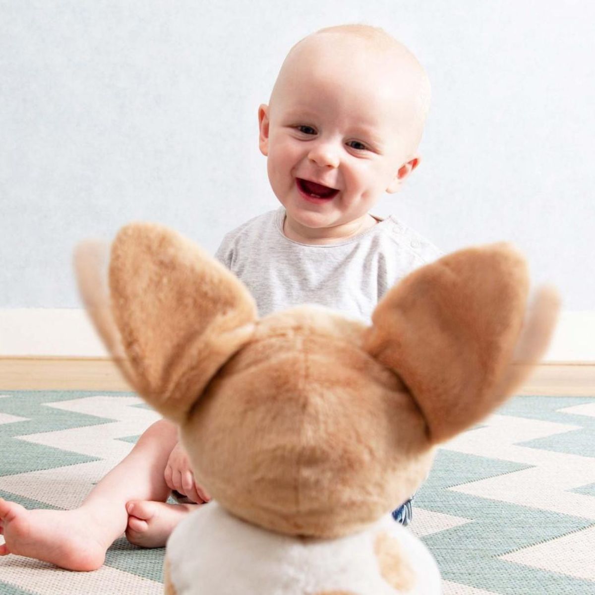 A must have soft toy friend for your little one, the Peek-a-Boo soft Danny the Dog has flapping ears and sings “Do your ears hang low” as he entertains your baby.
