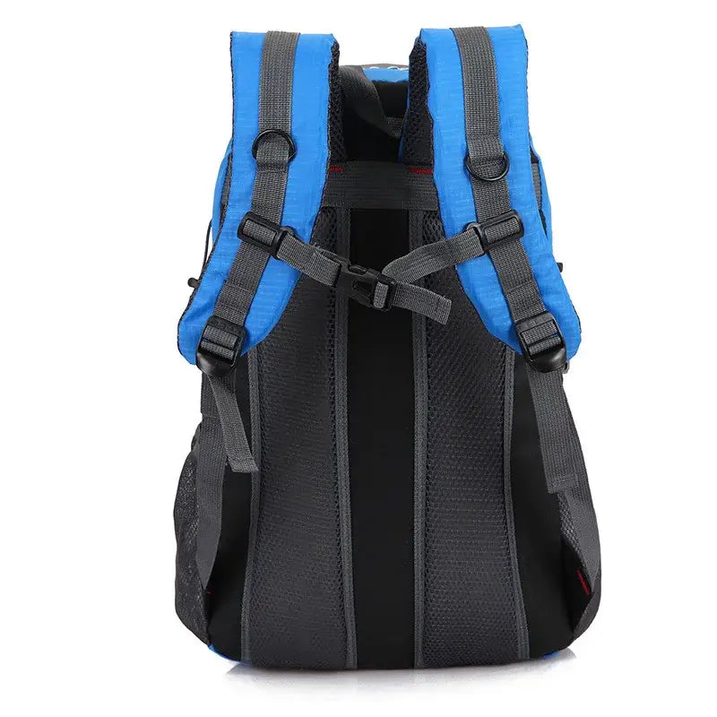 Backpack (Day Pack)