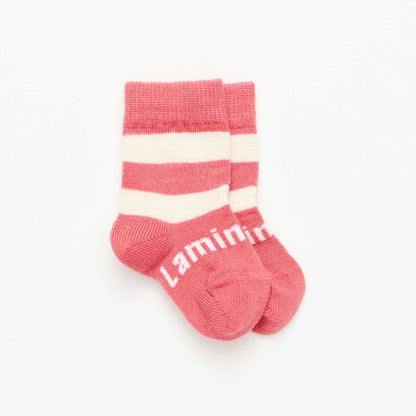 Lamington- Crew Merino Socks