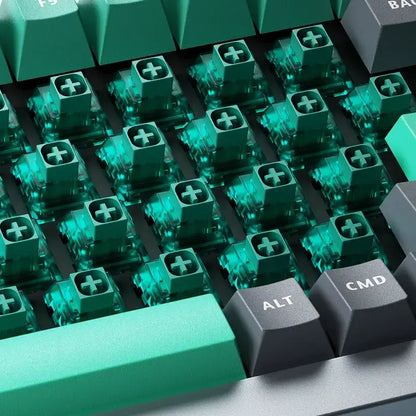 Clicky Hot-Swap Mechanical Switches – Gaming Keyboard (different sets available)