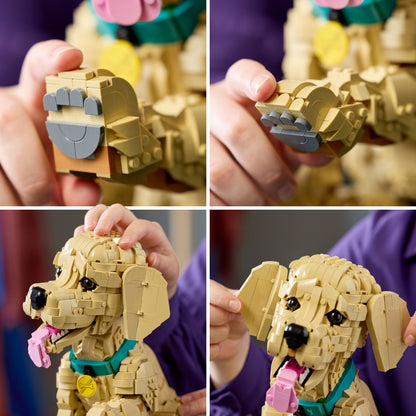 LEGO Icons: Golden Retriever Puppy (11384)