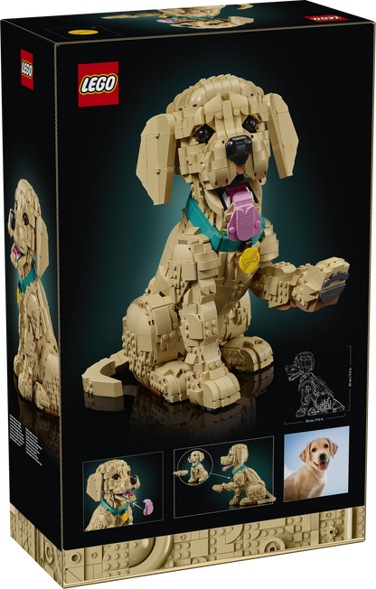 LEGO Icons: Golden Retriever Puppy (11384)