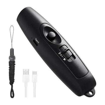Electronic Whistle