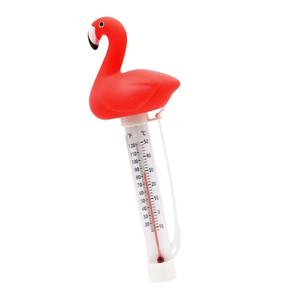 Floating Pool Thermometer