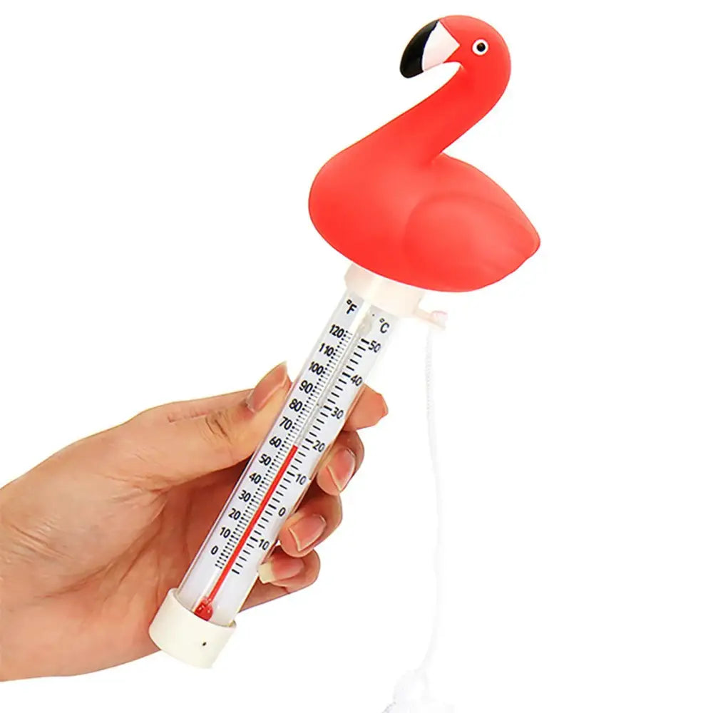 Floating Pool Thermometer