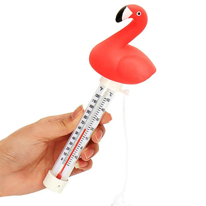 Floating Pool Thermometer