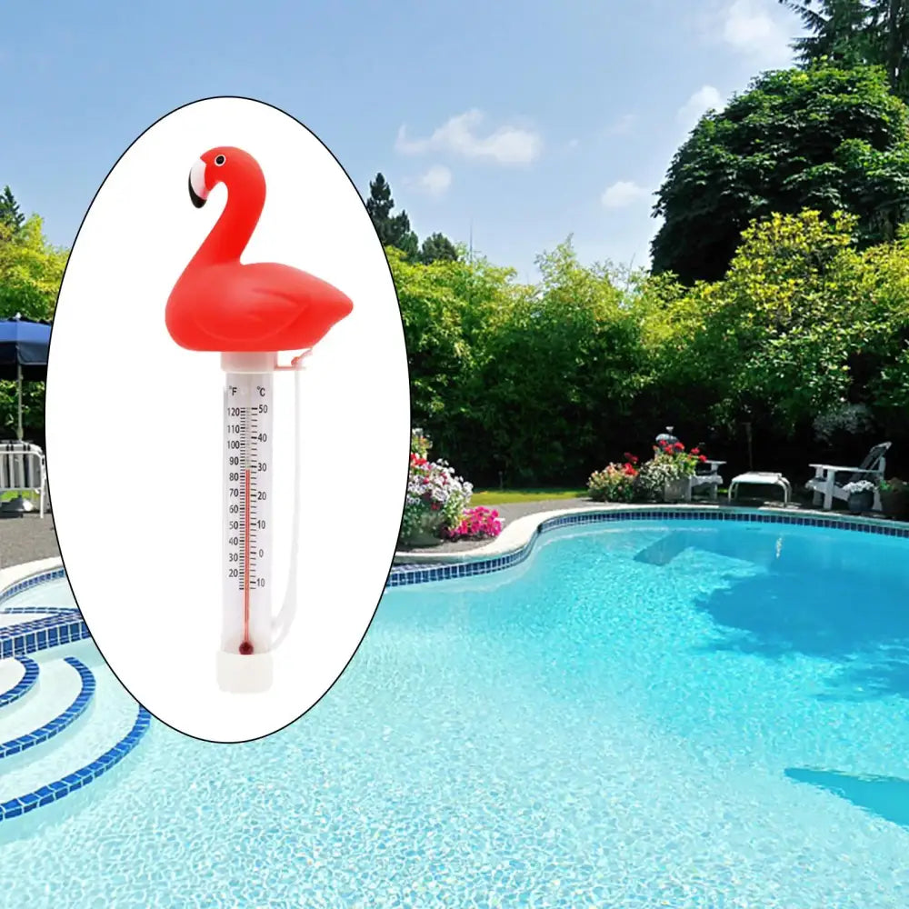 Floating Pool Thermometer