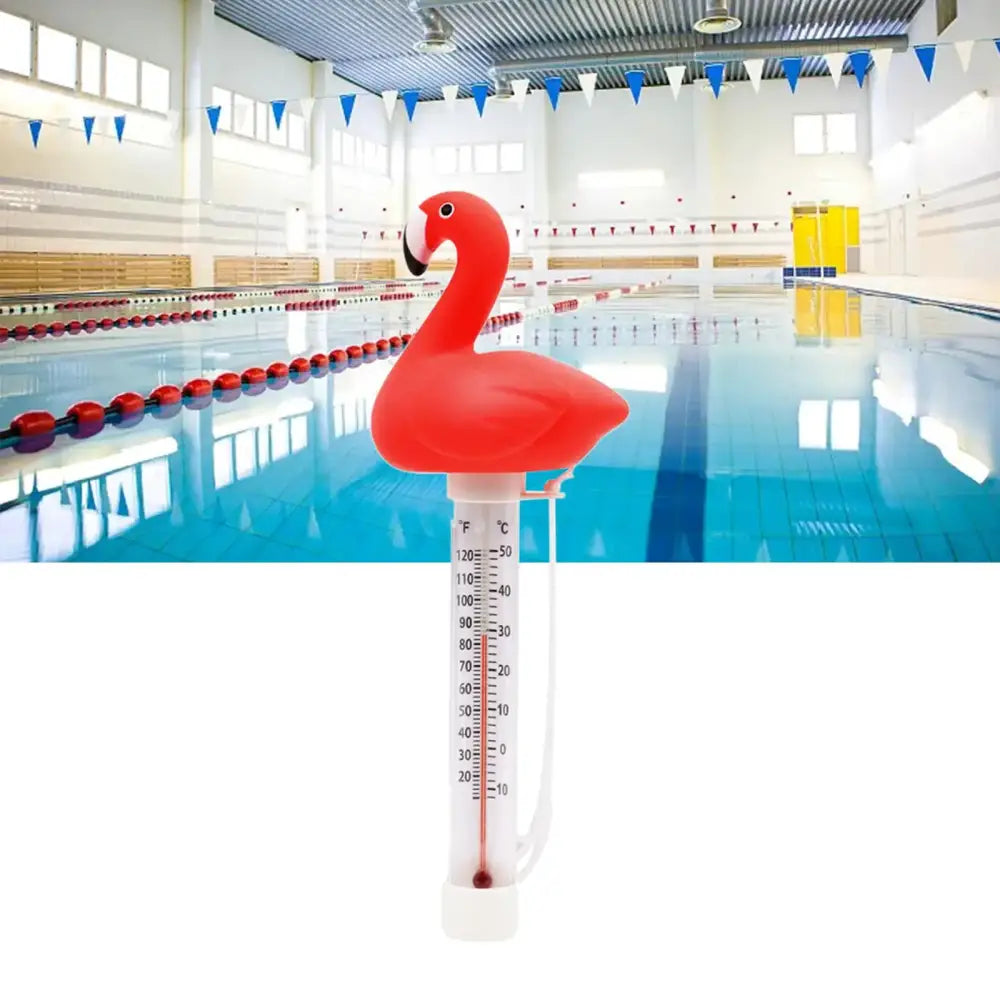 Floating Pool Thermometer