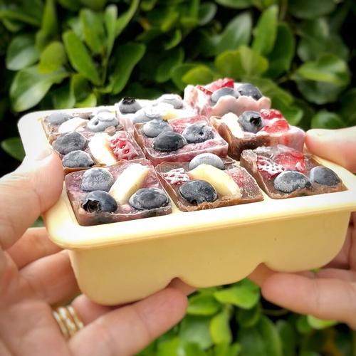 Haakaa Baby Food and Breast Milk Freezer Tray 6 Compartments
