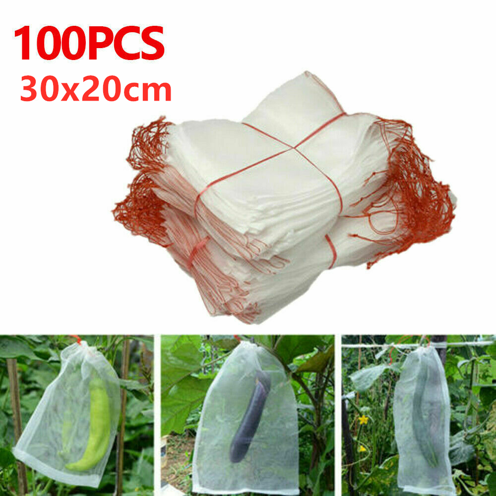 100pcs 30x20cm Garden Protection Nets Fruit Net Bags - salelink.co.nz