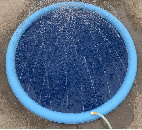 Pet Dog Sprinkler Splash Pad Mat Kids Water Play Spray Pool Toy 170cm