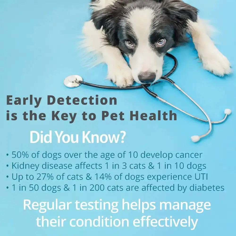 Pet Urine Testing Strips (x 100)