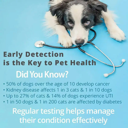 Pet Urine Testing Strips (x 100)