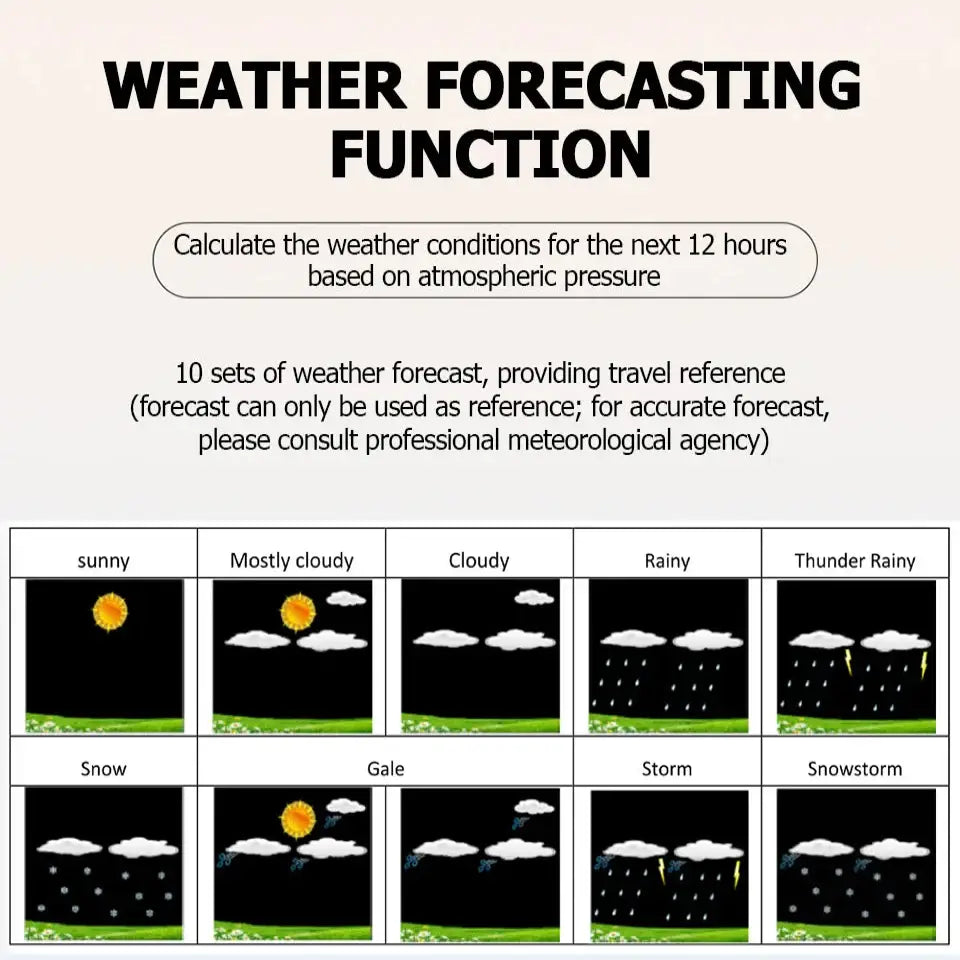 Professional Wireless Weather Station with Wind & Rain Sensors