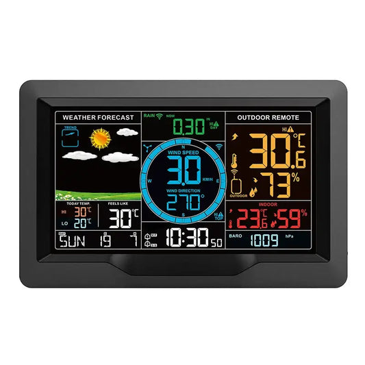 Professional Wireless Weather Station with Wind & Rain Sensors