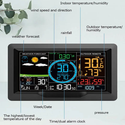 Professional Wireless Weather Station with Wind & Rain Sensors