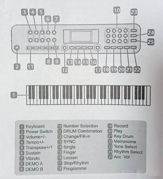 61 Key Keyboard Piano with Stand Suitable for Children - salelink.co.nz