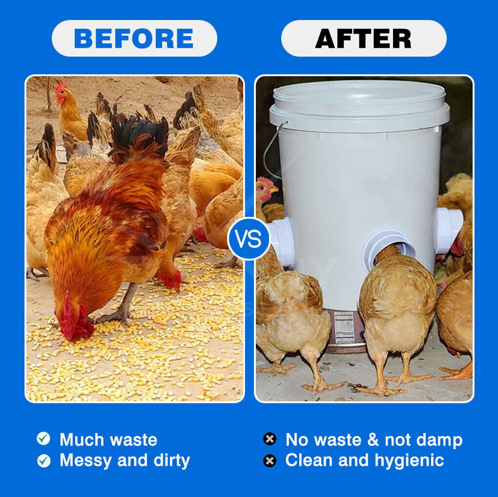 Automatic Chicken Feeders Poultry Gravity Fed Chicken Feeder