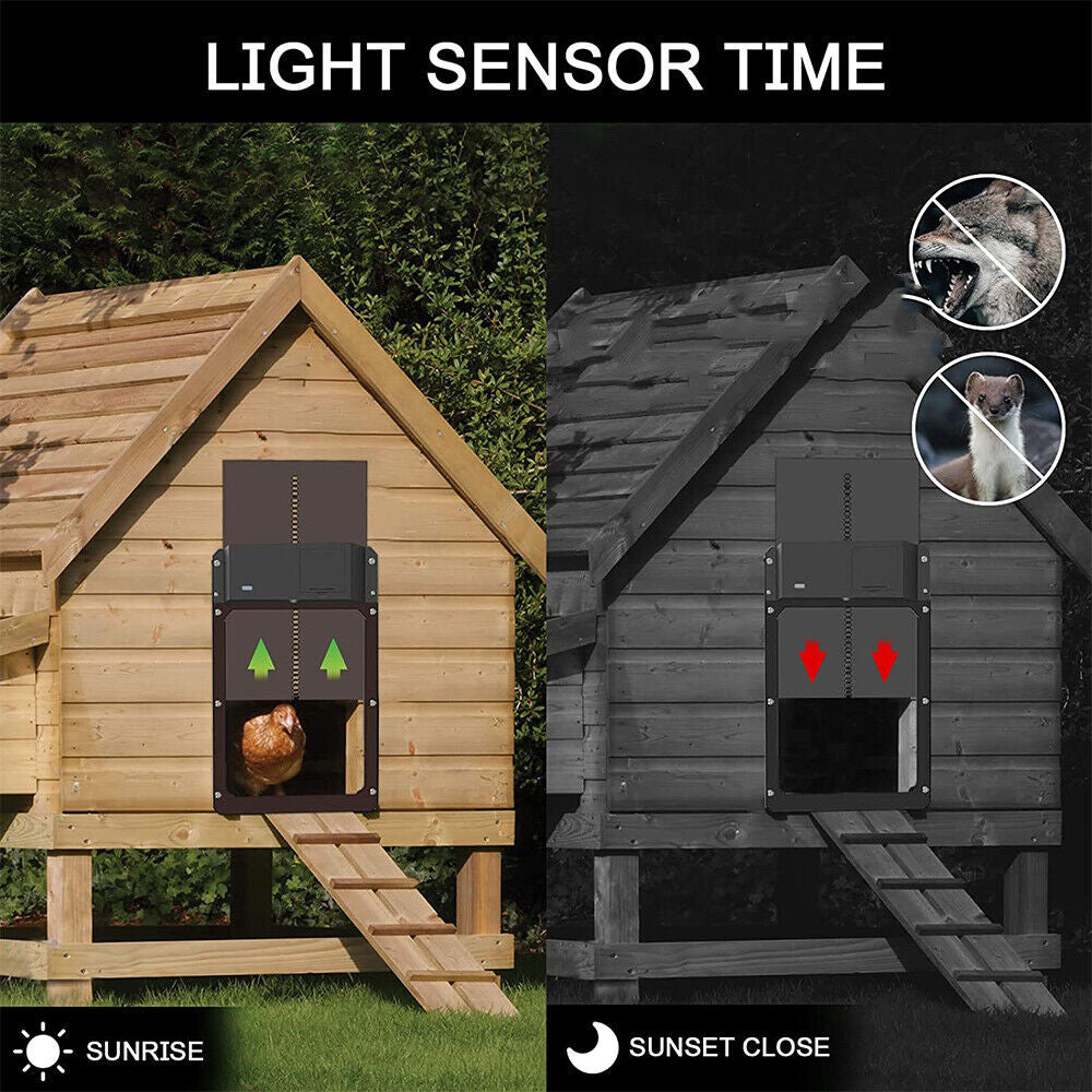 Automatic Chicken Coop Door Opener - salelink.co.nz