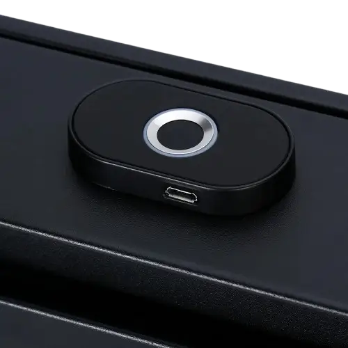 Smart Fingerprint Identification Safe