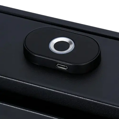 Smart Fingerprint Identification Safe
