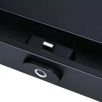 Smart Fingerprint Identification Safe