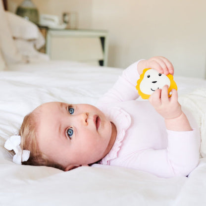Matchstick Monkey - Teething Starter Set