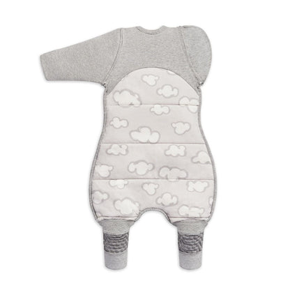 Love to Dream - Swaddle Up Transitional Suit 2.5 Tog