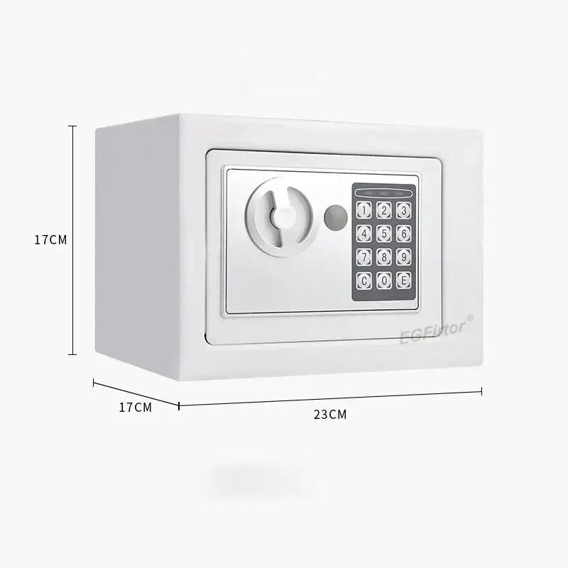 Wall-Mounted Password Safe with Alarm