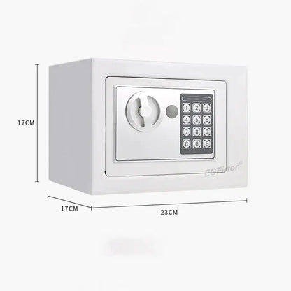Wall-Mounted Password Safe with Alarm