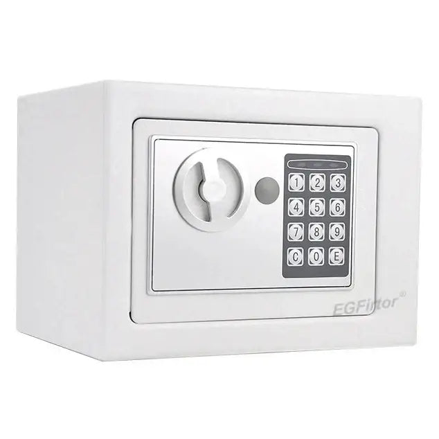 Wall-Mounted Password Safe with Alarm