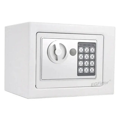 Wall-Mounted Password Safe with Alarm