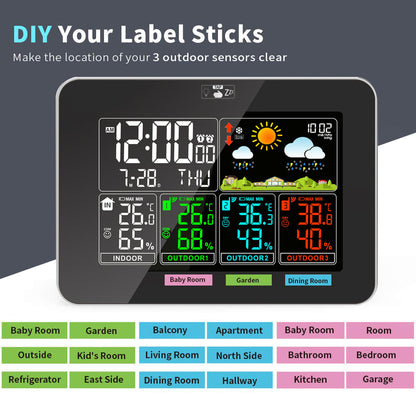 Weather Station Wireless
