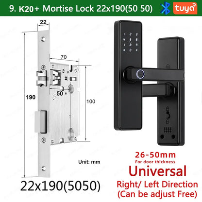 RAYKUBE K20 Biometric Fingerprint Door Lock