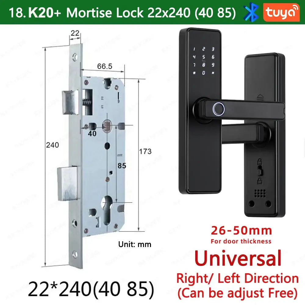 RAYKUBE K20 Biometric Fingerprint Door Lock