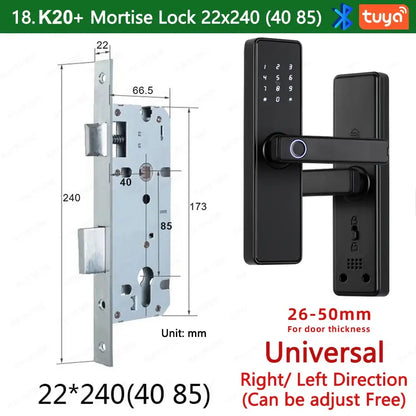 RAYKUBE K20 Biometric Fingerprint Door Lock