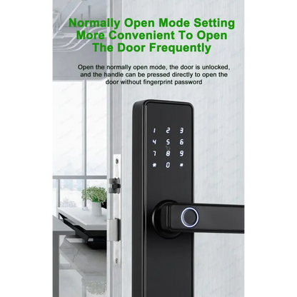 RAYKUBE K20 Biometric Fingerprint Door Lock