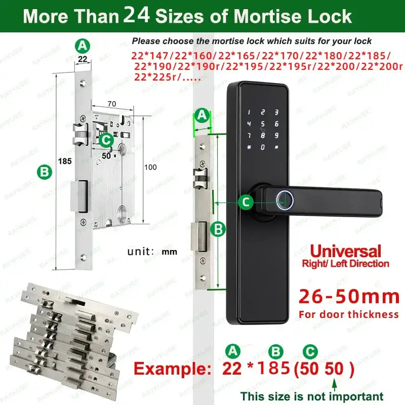 RAYKUBE K20 Biometric Fingerprint Door Lock