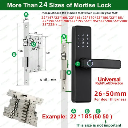 RAYKUBE K20 Biometric Fingerprint Door Lock